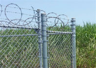 9 Gauge 5*5cm 6 Feet Chain Link Fence Galvanized Diamond Mesh Wire For Farm