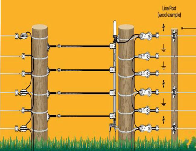 Hot Dipped Galvanized In Line Wire Strainer For Grape Stand In Agriculture