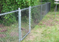 Galvanized PVC Coated Chain Link Fence Wire Mesh For Parks