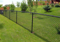 50X50mm PVC Coated Or Galvanized Chain Link Fence For Farm And Power Station