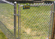 SGS  5FT High Black Vinyl Coated Chain Link Fence with Top Rail Fence Mesh