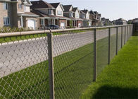 Residential 12 Gauge Galvanized Steel Chain Link Fence /Chain Link Fabric