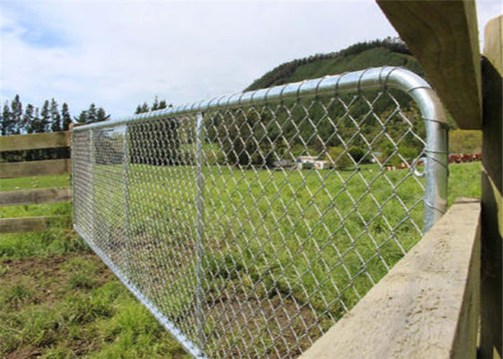 Hot Galvanized 75X75MM Chain Length Fence Gate For Sheep Yard