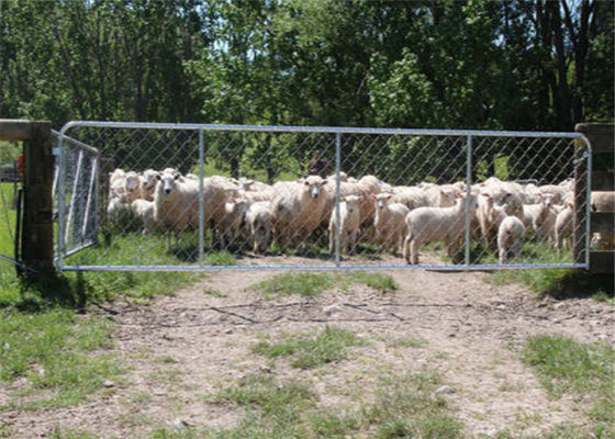 Hot Galvanized 75X75MM Chain Length Fence Gate For Sheep Yard