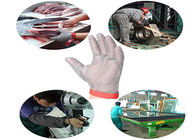 Reversible Level 5 Stainless Steel Safety Gloves With Textile Strap Silver Color