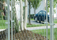 Modular Chain Link Boxed Galvanized 2.3mm Outdoor Dog Kennel