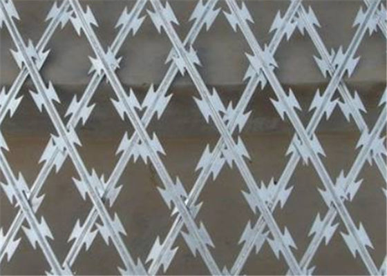 Fence Straight Razor Wire