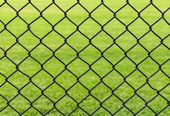 Garden High Way Farm 6ft Chain Link Mesh Fencing Galvanized Pvc Customized Size