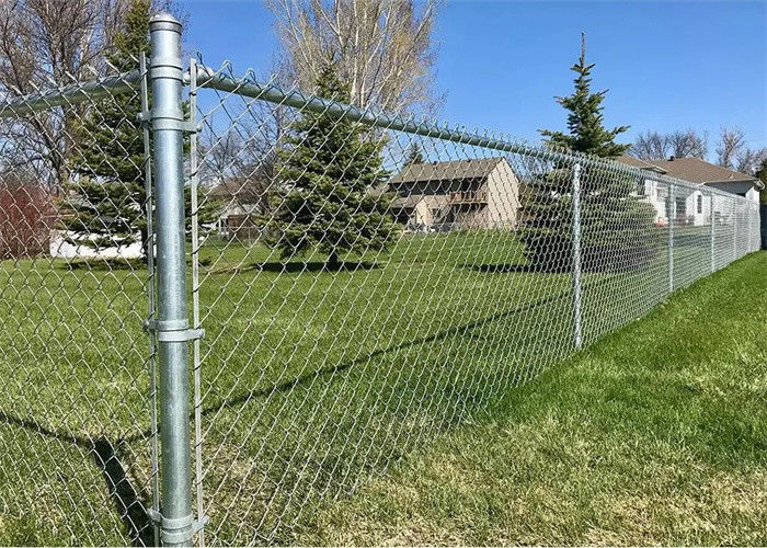 ISO 4ft 5ft 6ft 8ft 1 Inch Chain Link Fence Farm Field Galvanized Steel Wire