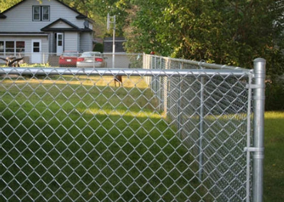 SGS  5FT High Black Vinyl Coated Chain Link Fence with Top Rail Fence Mesh