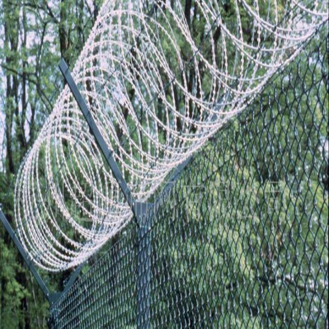 Hdg Coil Diameter 500mm Razor Wire Concertina For Chain Link Diamond ...